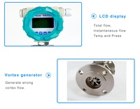 Intelligent Precession Vortex Flowmeter with Digital Display for Coal Gas, Natural Gas, Oxygen and Biogas