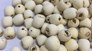 <span class=keywords><strong>Semi</strong></span> di <span class=keywords><strong>Fiori</strong></span> di Ninfea Essiccati Cinesi <span class=keywords><strong>Semi</strong></span> di Loto Bianco - Product Image 6