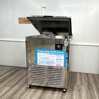 Congélateur à plaques industriel pour aliments congelés Congélateur commercial rapide pour la congélation de la viande
