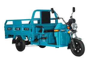 Triciclos eléctricos Cargo 48V 1000W Triciclos eléctricos Adultos - Product Image 6