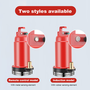 <span class=keywords><strong>Pompe</strong></span> à eau <span class=keywords><strong>de</strong></span> puits à jet en fonte 220V, haute pression, 50/60Hz, grand débit, double mode automatique/manuel, pour usage domestique - Product Image 3