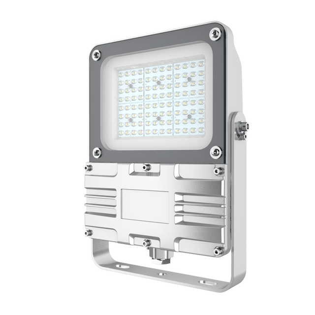 LED 60W-100W  Waterproof Flood Lights Outdoor Lighting for Factory with Factory Price