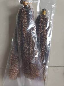 Extensiones de Cabello Humano Itip 13A, Rizado Afro, Microlinks, 22 24 Pulgadas, 3A 3C, Cabello Brasileño Virgen Rizado Afro, 300 Mechones, Venta al por Mayor - Product Image 6