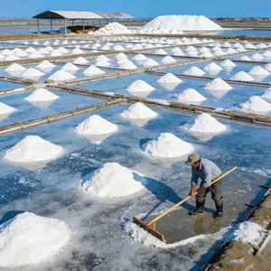 OG-022 מלח ים טהור - תערובת מלח מיידית לאקווריומים, לאקווריומי מים מלוחים, לסביבה ימית של שוניות אלמוגים - Product Image 5