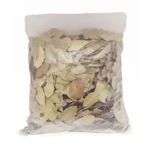 Großhandel Hochwertige Bulk Dried Bay Leaves Trockenes Lorbeerblatt