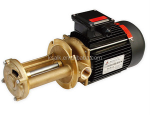 ปั๊มน้ำร้อนแบบแนวตั้ง Aulank WL-07 0.5kw 0.7Hp พร้อมตัวเลือกวัสดุตัวปั๊มหลายประเภท - Product Image 1