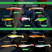 Kit de leurres de pêche en plastique pour le bar - Nouveauté 2026 - Comprend une boîte à pêche, des leurres, des swimbaits, des minnows, des leurres souples, des hameçons et des poids