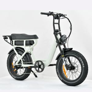 48V/52V Fat Bike bici elettrica a lungo raggio bici da ghiaia elettrica da 1000w 20 pollici per adulti Retro bici elettrica da spiaggia da crociera <span class=keywords><strong>Ebike</strong></span> - Product Image 1
