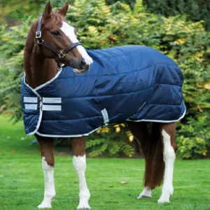 بطانية لفصل الشتاء للفروس تسمح بالتهوية، بساط حصان مخصص للفروسية، قماش حصان بشعار مصمم خصيصًا EXW بوليستر مقاوم للماء 600D