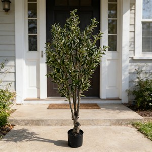 Olivo Artificial - Plástico Duradero Ecológico de Alta Simulación para Uso en Interiores/Exteriores - Product Image 4