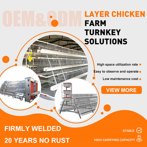 Système d'équipement d'élevage avicole automatique pour cages à poulets de type 3/4 niveaux, capacité de 96 à 160 poulets, pour usage en ferme avicole - Product Image 6