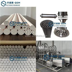 Grieks Yoghurtconcentraat Met Keramisch Micro-Filtratie Keramisch Membraanfilter - Product Image 6