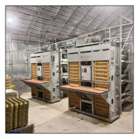 Grande capacité poule élevage équipement agricole système d'usine Coop ligne gestion couche batterie automatique volaille poulet Cage