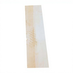 Batte de cricket OEM en saule anglais de qualité supérieure, éditions pour joueurs, manche court, pour frappes puissantes, pressée à froid, personnalisée et légère - Product Image 1