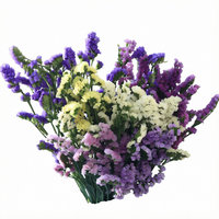 Bouquet de Myosotis séché et préservé naturel pour remplissages floraux de mariage et décorations intérieures