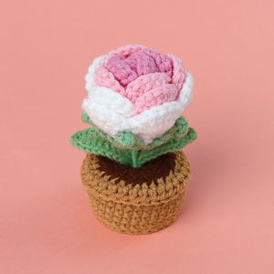 Mini maceta de punto de ganchillo Rosa tejida a mano para novia, graduación, Día de San Valentín, regalo de adorno de escritorio para la escuela - Product Image 3