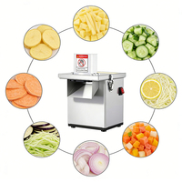 Veelzijdige Commerciële Groentensnijder Versnipperen Snijden Snijmachine 200W Motor 220V Laag Geluidsniveau voor Aardappel Groenten Fruit