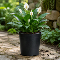 Pot Bunga Modern Desain Terbaru Ukuran Besar dari Bahan PP Ringan dan Tahan Lama dengan Lubang Drainase untuk Kebun Dalam/Luar Ruangan