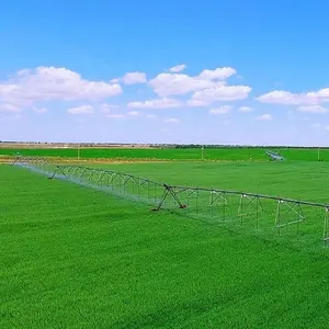 China máquinas agrícolas irrigação sistema centro pivô sprinkler Pivô Irrigação Sistema