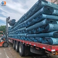 Planche de drainage HDPE imperméable, anti-pression, de haute qualité, respectueuse de l'environnement, non toxique, pour usage en barrage et jardin, garantie 5 ans