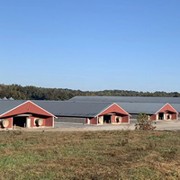 Etablissement de volailles pour poulailler agricole 10000 Salle d'élevage de poulets de chair Hangar mobile Poulailler Ferme avicole