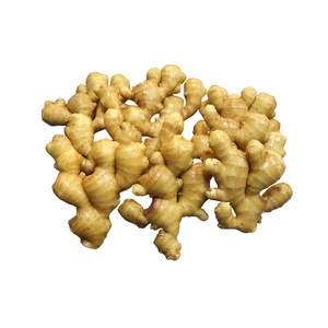 Trung Quốc trưởng thành siêu gừng chất lượng tốt nhất Đỏ/Vàng gừng Nhà cung cấp cung cấp gừng tươi xuất khẩu - Product Image 2