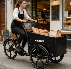 Vélo <span class=keywords><strong>cargo</strong></span> électrique 8 vitesses à prix d'usine, 250W, 3 roues, avec batterie 36V, stock Europe - Product Image 4
