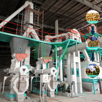 Granulateur pour volailles animales ligne de production agriculture fabrication traitement granulateur Machine à granulés d'aliments pour animaux pour fabricant