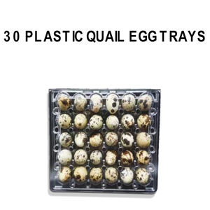 30 cartons d'œufs pour contenir 30 œufs de caille pour le stockage et le transport - Product Image 4