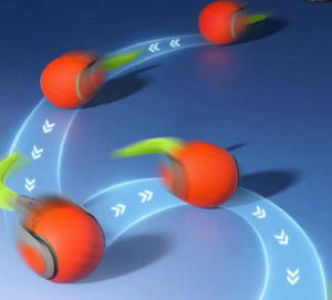 Automatic <b>Cat</b> Toy Ball Interactive Way for <b>Cats</b> to Keep Themselves Entertained Includes a Caterpillar Pet Supplies - Product Image 6