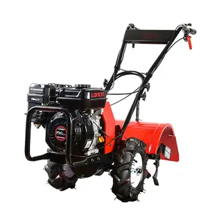 Loncin Engine benzina Power 4 Cycle 196CC 6 HP 20 Inch Gear Driven Farm Paddy coltivatore Tiller