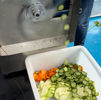20-in-1 kleine groentesnijmachine voor bladgroenten, geschikt voor broodjeszaken, restaurants en voedselverwerking