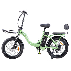 Bicicleta Eléctrica TWOFISH TF02 en Existencia en el Reino Unido, 250W, 36V, 17.8Ah, Llantas de 20*4 Pulgadas, 25km/h, Alcance de 100km, con Frenos de Disco Mecánicos - Product Image 5