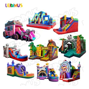 Dinosaur Dog Maze Water Industrial Australian Standard Bouncy Castle Mini Slide Kids Uk Rodeo