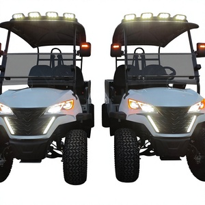 Vehículo Utilitario Eléctrico Todoterreno de 2 Plazas, Camioneta de Carga, Carro de Golf - Product Image 1