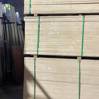 Panneau de contreplaqué en eucalyptus massif brut pour emballage, coffrage béton, sous-plancher, WBP, étanche, MR