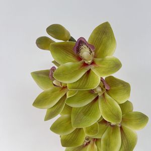 Orchidées Cymbidium artificielles imprimées en 3D à 6 têtes, en soie PU, haute simulation, pour décoration de mariage et de maison - Product Image 4