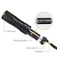 Petite lampe torche 395nm 9 LED Mini lampe torche ultraviolette portable Lampe torche UV