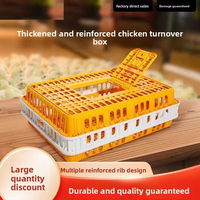 Cage de transport pour poulets en plastique PP de haute qualité, durable, prix de gros usine