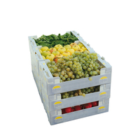 Boîte plastique ondulée à personnaliser pour fruits, coffret d'emballage en plastique imperméable pour fruits et fruits pièces