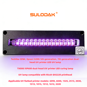 Lampe LED de polymérisation UV 385-395NM Lumière bleue violette Lampe de polymérisation LED UV refroidie par eau 200W pour <span class=keywords><strong>Toshiba</strong></span> CEN4 Epson I3200 - Product Image 1