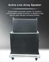 Équipement de haut-parleurs Line Array professionnel Sound avec amplificateurs Flight case Wheels Système de haut-parleurs passif Active Line Array