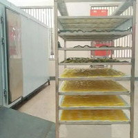 Automatische Gedroogde Groente Fruit Gesneden Mango Papaja Palm Dadelcurcuma Abrikozen Chips Making Machine