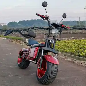 एनवाई डिजाइन 2023 Raskt Kraftig Kina Engros 1500/2000W Elektrisk स्कूटर Motorsykler Citycoco Voksen