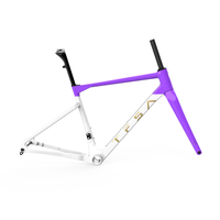 Cadre de vélo de gravier urbain en fibre de carbone haute résistance TFSA JH-37, cadre de vélo de route/VTT OEM avec axe traversant et frein à disque pour le cyclisme