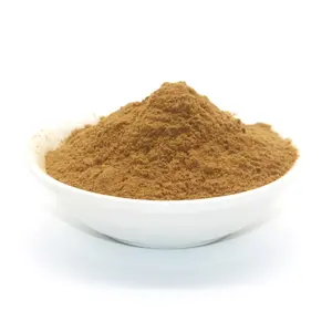 High purity Burdock root extract 30% polysaccharide Burdock root extract powder