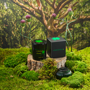 Barattolo di candela di colore opaco con coperchio di <span class=keywords><strong>vetro</strong></span> vuoto barattoli di candela di <span class=keywords><strong>vetro</strong></span> all'ingrosso di lusso - Product Image 3