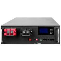 Batterie LiFePO4 SKE 51,2 V 200 Ah à montage en rack séparé avec BMS RS485, garantie 5 ans, pour système solaire, stockage d'énergie et appareils électroménagers