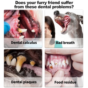 Nuevo Producto de Fábrica: Juego de 3 Lápices de Limpieza Dental para Gatos y Perros, Cuidado de la Higiene Bucal y Belleza Dental, Gel Dental para Mascotas - Product Image 5