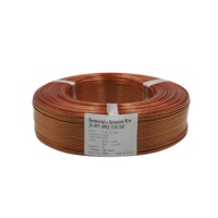 Kabel Ekstensi Termokopel Tipe J KAPTON Berisolasi PTFE dengan Selubung PI, Kabel Kompensasi Termokopel JX-KPT-ANSI-7/0.2x2